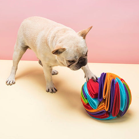 SmartFold Snuffle Ball